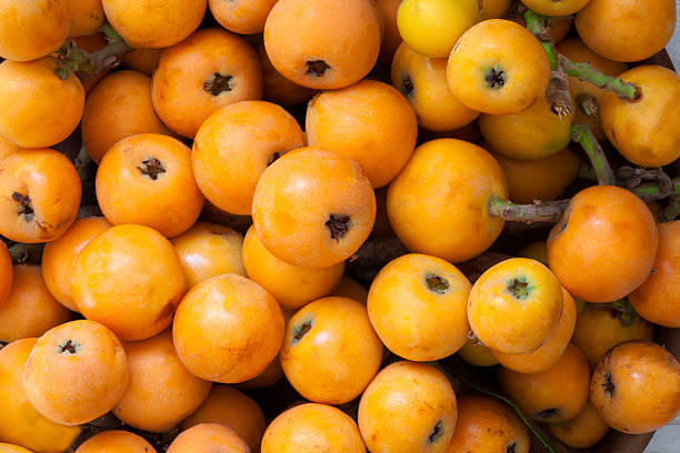Loquat Fruit stock photo