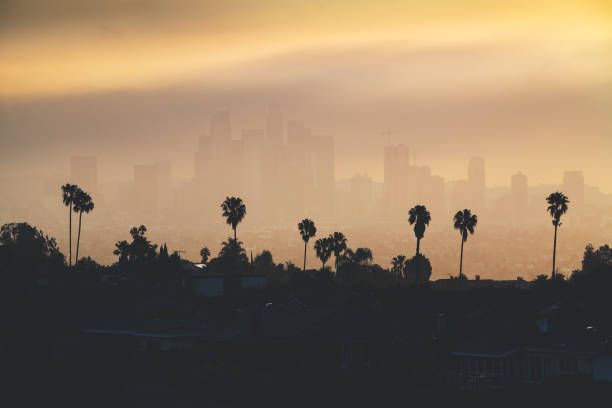 Los Angeles downtown silhouette at sunset. LAX most famous city of california. Typical view of the Los Angeles. stock photo