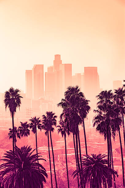 Los Angeles skyline with palm trees in the foreground stock photo