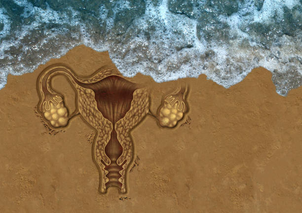 Losing Reproductive Rights Losing reproductive rights and restrictive abortion laws or fertility issues as a human uterus drawing in the sand being erased by waves of water in a 3D illustration style. abortion pill stock pictures, royalty-free photos & images