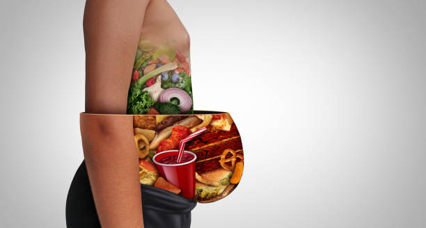 Losing Weight And Nutrition Losing weight and nutrition as an unhealthy diet or healthy food with a fat and normal person as a stomach made from junk food or health ingredients as a dieting fitness issue with 3D illustration elements. obesity stock pictures, royalty-free photos & images