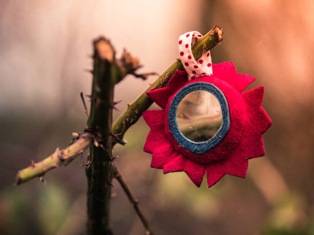 A lost mirror in a rose bush stock photo