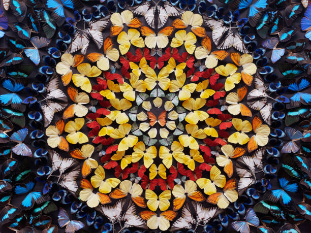 un montón de mariposas de colores en círculos como una decoración de pared. - kaleidoscope fotografías e imágenes de stock