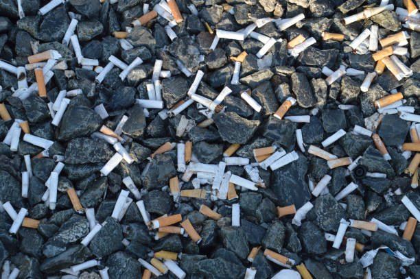 lot of  used cigarette butts in gravel stock photo