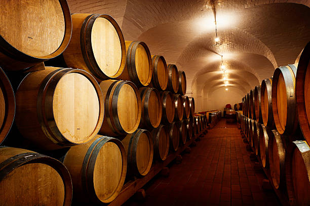 たくさんの将来のワイン。オーク樽 maturing ワインセラーのワイナリー - ミニ樽 ストックフォトと画像