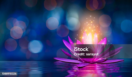 istock lotus Pink light purple floating light sparkle purple background 1088910326