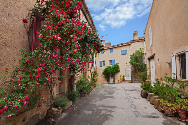 Lourmarin, Vaucluse, Provence, France: picturesque old alley in the ancient village with plants and red roses stock photo