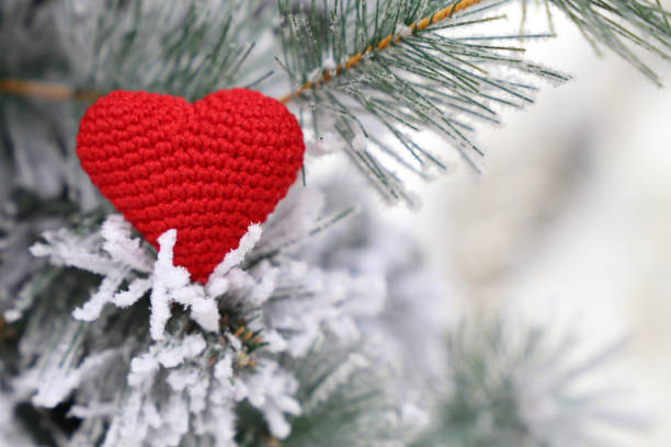 Love heart, Merry Christmas card, red knitted symbol of love in the snow on fir branches Concept of romance, New Year celebration, Valentine's day or winter weather february stock pictures, royalty-free photos & images