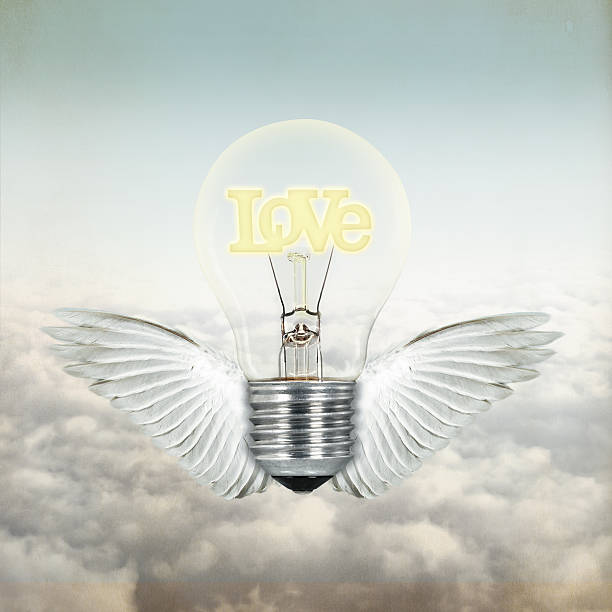 love light bulb with wings stock photo