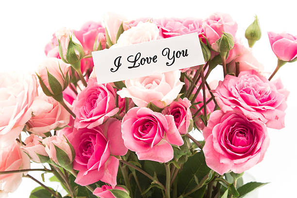 Beautiful Pink Rose With Words I Love You Stock Photos, Pictures ...
