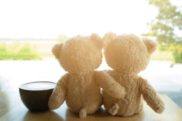 아름 다운 갈색 두 곰 커피가 게에서 창 밖을 봐의 자에 앉아. 에 아침 개념. 사랑, 관계 및 이해 - teddy ray 뉴스 사진 이미지