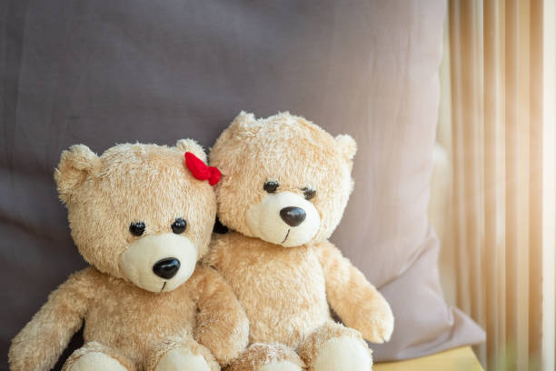 прекрасный коричневый два плюшевого медведя сидят на стуле смотреть в окно из кафе. в утренней концепции. любовь, отношения и понимание. - teddy ray стоковые фото и изображения