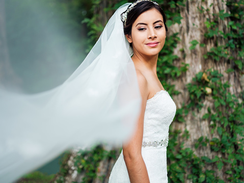 https://media.istockphoto.com/photos/lovely-latin-bride-with-long-veil-looking-away-picture-id1144822606?k=6&m=1144822606&s=170667a&w=0&h=nRFCo2mqOBr27P0lg1kKzWAKmFfbOBl6YXZoA6eMuE8=