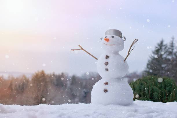 bonhomme de neige de sourire charmant dans le jardin d’hiver - bonhomme de neige photos et images de collection