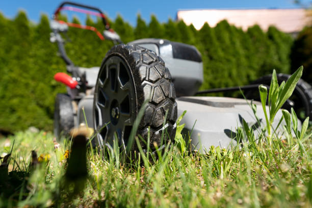 Low angle shot of high grass with mowing machine with focus on wheel on sunny day stock photo