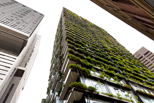 Low angle view of appartment building with vertical garden, background with copy space Low angle view of apartment building with vertical garden, sky background with copy space, Green wall-BioWall or living wall is a wall covered with living plants on residential tower, Sydney Australia, full frame horizontal composition green building stock pictures, royalty-free photos & images