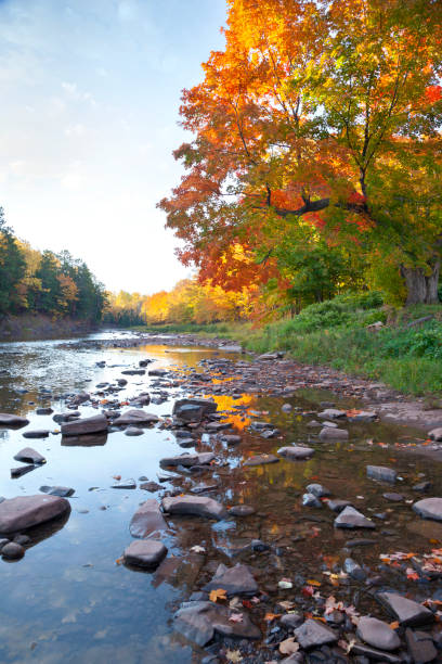Photo of Low angle view of river in northern Michigan with rocks by trees in fall color