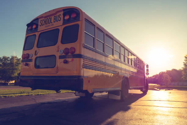 Low angle view of yellow school buss from right rear at dusk looking into setting sun Sunset view of public school transportation with shadow and reflection of dropping sun on road and vehicle moving away school buses stock pictures, royalty-free photos & images