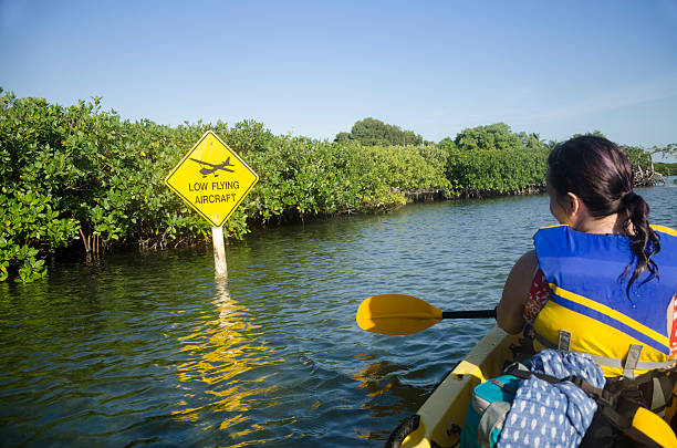 signe de l'avion volant inférieur - kayak mangrove photos et images de collection