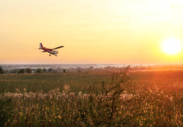 Low flying airplane flying above the green field on sunset. stock photo