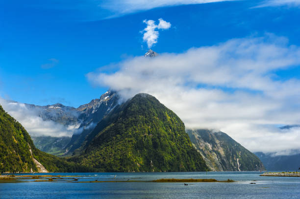 Low Tide in Milford Sound in New Zealand stock photo