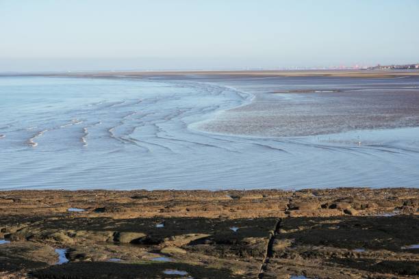Low tide on Dee Estuary Hilbre Island. Wirral, England - 13 January 2022: Looking down on the Dee Estuary close to low tide. On the right hand horizon houses in Hoylake, and further back red cranes of Liverpool docks are visible. low tide stock pictures, royalty-free photos & images
