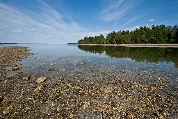Low Tide on Puget Sound The landscapes and seascapes of Puget Sound are a constant source of inspiration for photographers. This picture of a tranquil Carr Inlet reflecting the clouds and blue sky was photographed from Penrose Point State Park near Lakebay, Washington State, USA. jeff goulden seascape stock pictures, royalty-free photos & images