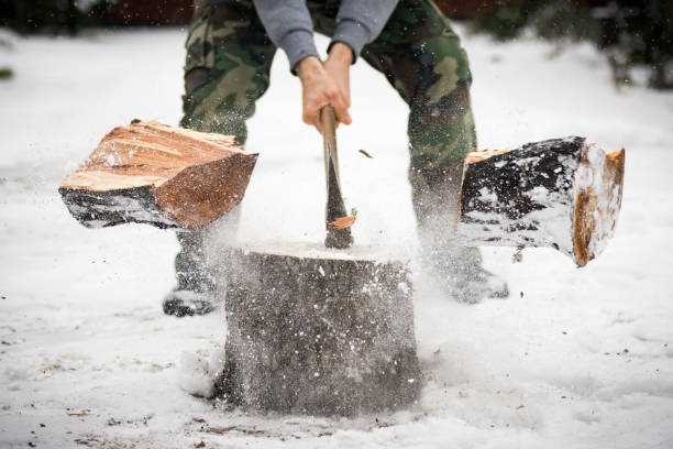 lumberjack cutting wood in snow The lumberjack is cutting wood in snow while falling snow at winter. firewood stock pictures, royalty-free photos & images