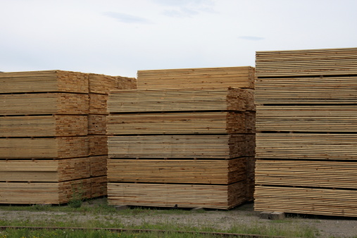 Lumberyard Stock Photo - Download Image Now - iStock