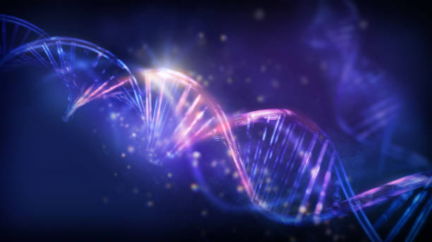 Luminous double helix strands of abstract DNA, 3D render. stock photo