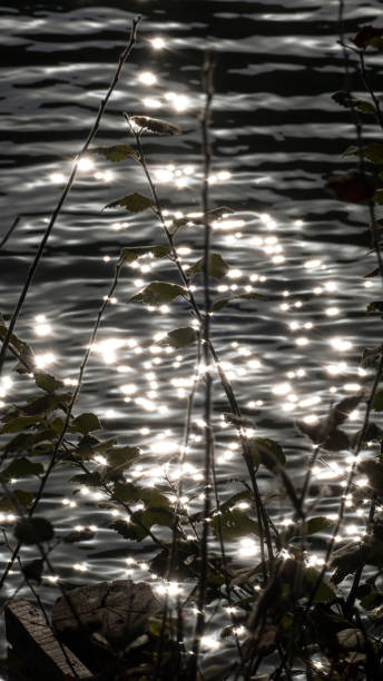 Luminous Spirit of Water stock photo