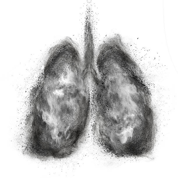 Lungs made of black powder explosion isolated on white stock photo