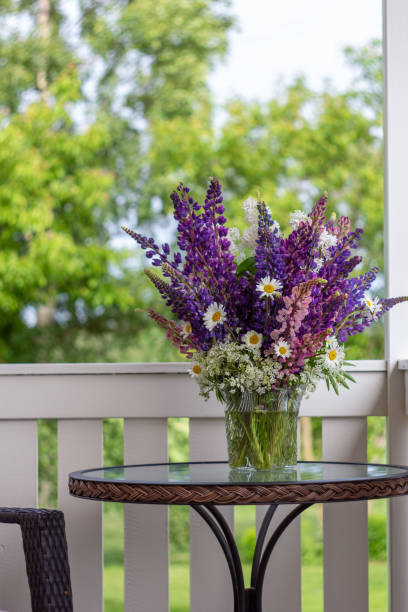 Lupine bouquet on a terrace stock photo