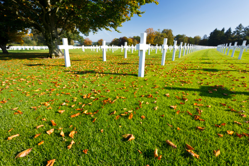 White crosses under a tree at the American military cemetery Henri-Chapelle near Aubel in Belgium, some lush foliage in the foreground.