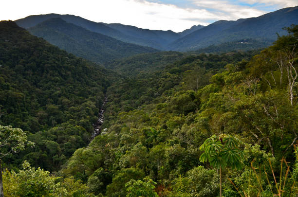 Lush montane rainforest valley and mountains of Itatiaia stock photo