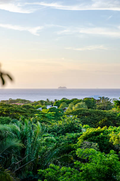Lush tropical green jungle with ocean views stock photo
