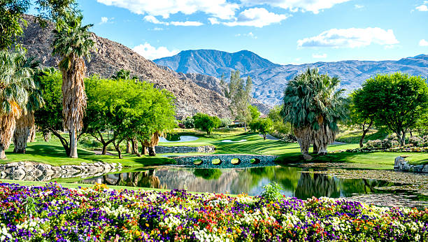 A luxury golf course with flowers and a bridge A luxury golf course in La Quinta, California. The San Jacinto Mountains serve as a backdrop. palm springs california stock pictures, royalty-free photos & images
