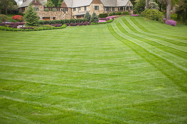 Luxury Home or House with Large Front Yard this color image is of a Luxury Home or House with Large Front Yard. the house is made of stone or brick. this home is a mansion or really big luxurious home or house with a beautiful flower garden. and the front yard is a large yard with green grass or lawn. there are beautiful trees and bushes surrounding the house. the front yard is about 1 or 3 acres of mowed lawn. this photo is a beautiful scenic background. the lighting is natural warm sunlight during the day or evening.  front yard stock pictures, royalty-free photos & images