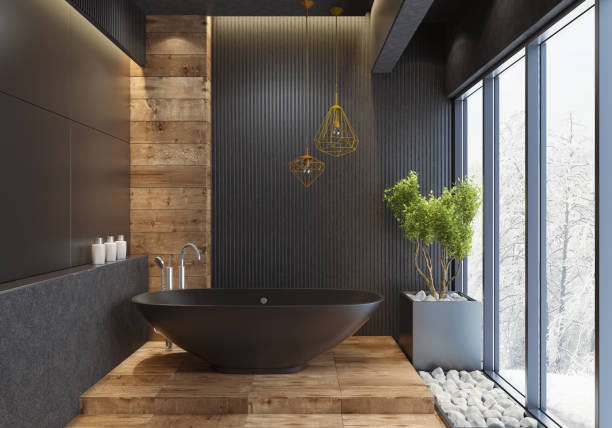 villa minimaliste noir salle de bain luxueuse - porte salle de bain photos et images de collection