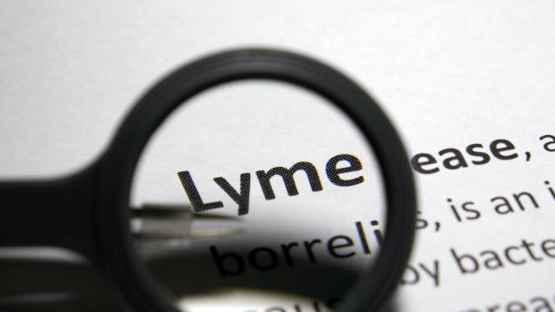 ziekte van lyme-bacteriën - lyme stockfoto's en -beelden