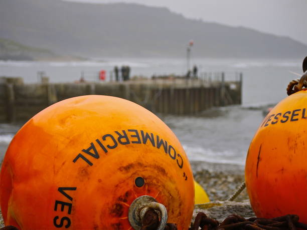 Lyme Regis Dorset part of the World Heritage Jurassic coast coloured buoys on beach in winter with pier in background Show from teh public beach at Lyme regis Dorset jurassic world stock pictures, royalty-free photos & images