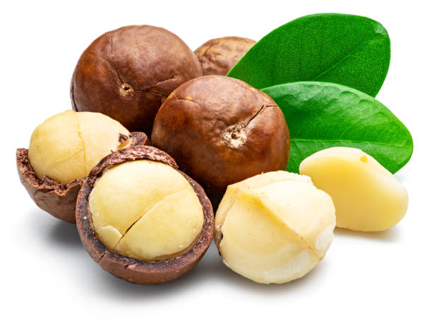 Macadamia nuts with peeled macadamia and leaves isolated on a white background. stock photo