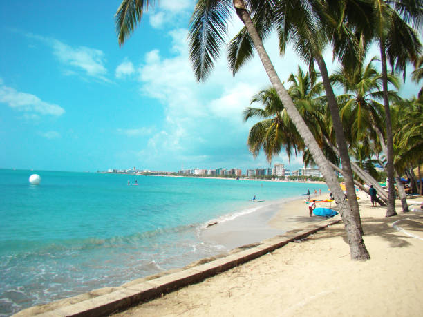 Maceio Beach landscape with coconut tree Beach landscape of Maceió - Alagoas - Brazil coral cnidarian photos stock pictures, royalty-free photos & images