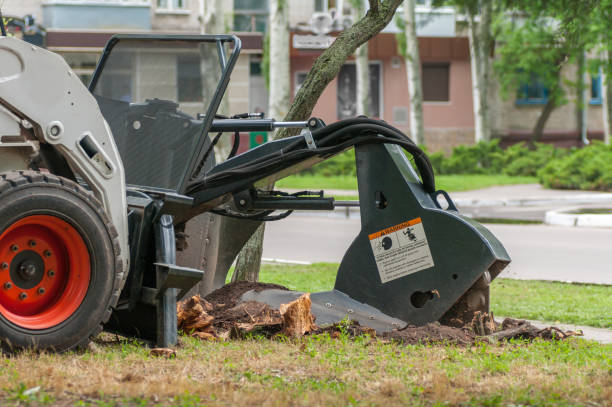 machine crushes the stump machine crushes the stump grinding stock pictures, royalty-free photos & images
