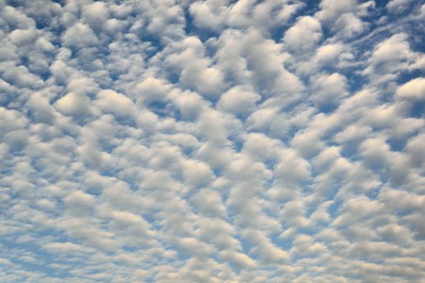 Mackerel or Buttermilk Sky A sky filled with altocumulus clouds, called either a Mackerel Sky or a Buttermilk Sky, depends if you're a coastal person or a plains person altocumulus stock pictures, royalty-free photos & images