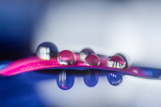 Macro, abstract composition with colorful water drops on a petal stock photo