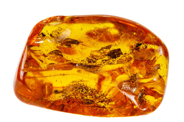 Macro Amber mineral stone with spider on white background Macro Amber mineral stone with spider on white background close up fossilized pitch stock pictures, royalty-free photos & images