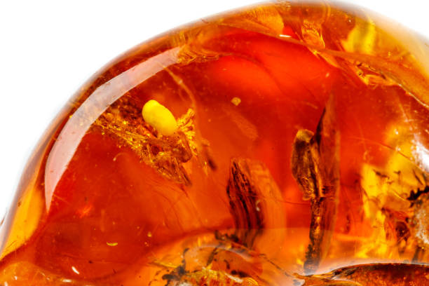 Macro Amber mineral stone with spider on white background Macro Amber mineral stone with spider on white background close up fossilized pitch stock pictures, royalty-free photos & images