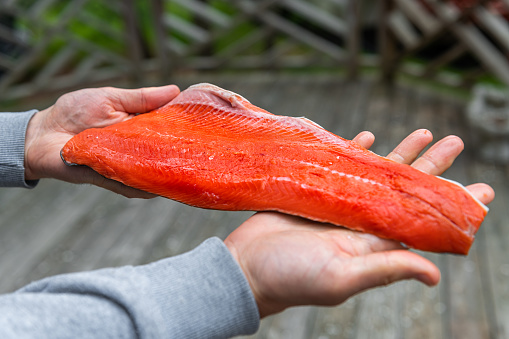 Macro closeup of man hands holding showing raw sockeye salmon previously frozen fillet storebought at supermarket store from butcher outside