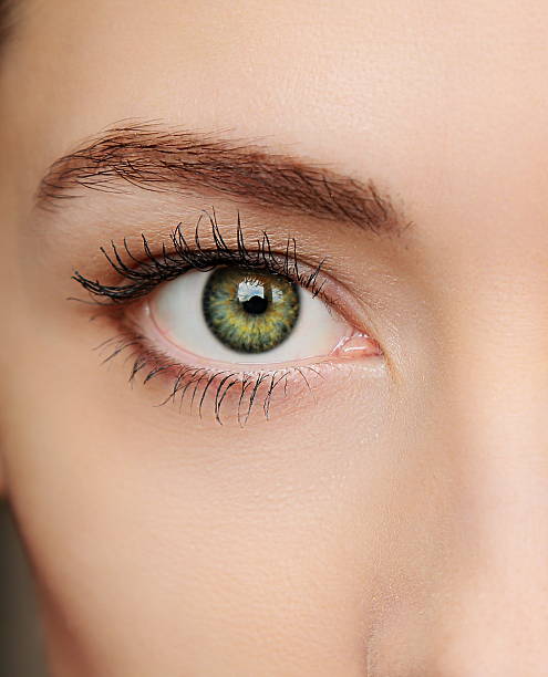 Macro green eye of beautiful woman. Closeup portrait stock photo